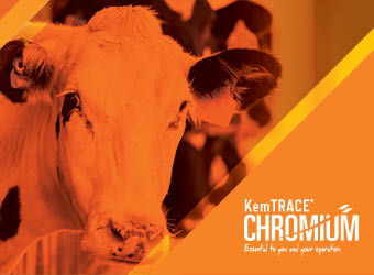 How we got the dairy industry to pay attention to a first-of-its-kind product