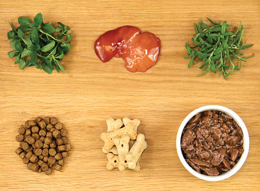 Kemin Pet Food & Rendering Technologies