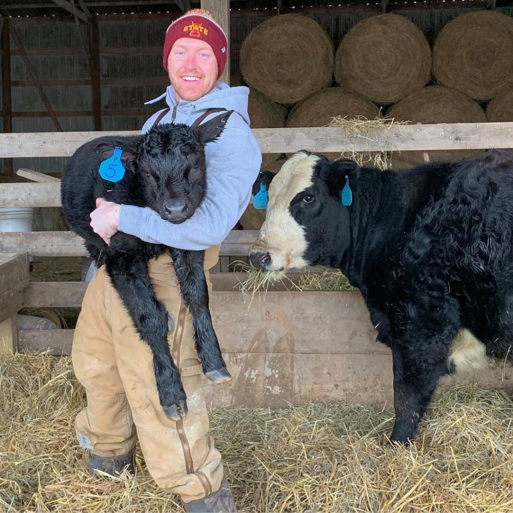 Preston holds calf with adult cow standing nearby