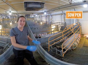 How we created an immersive mixed reality experience in a pig barn