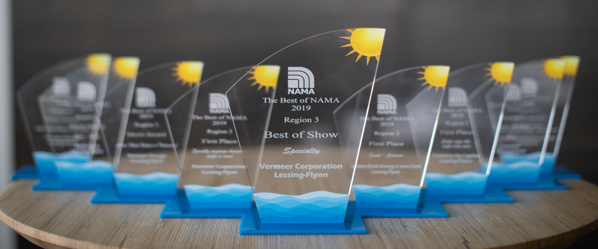Lessing-Flynn nets 9 NAMA awards