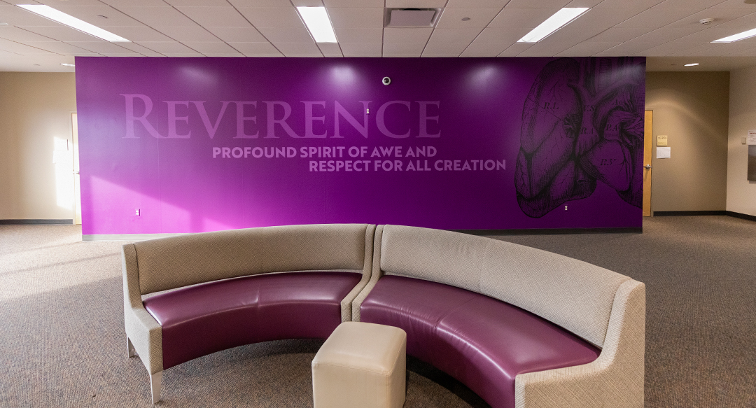 How environmental graphics brought fresh energy to campus4