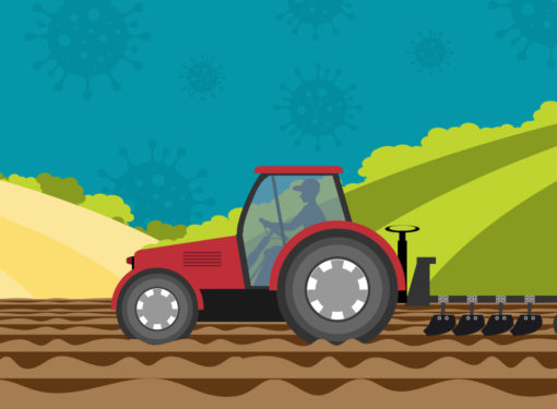 The short- and mid-term impact of COVID-19: farmland market