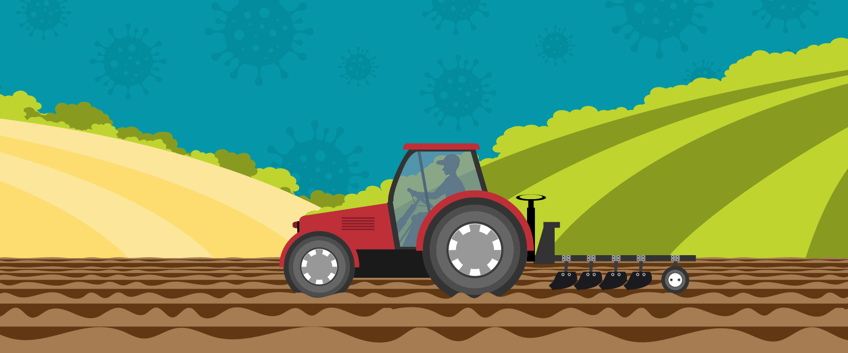 The short- and mid-term impact of COVID-19: farmland market