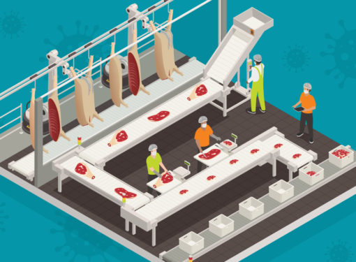 The short- and mid-term impact of COVID-19: meat processing
