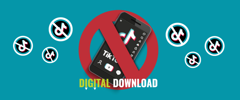 Cutting TikTok’s Chinese ties, rival app emergence and the data debate continues