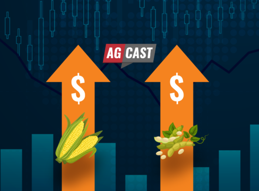Two arrows with dollar signs showing the increase in grain market prices