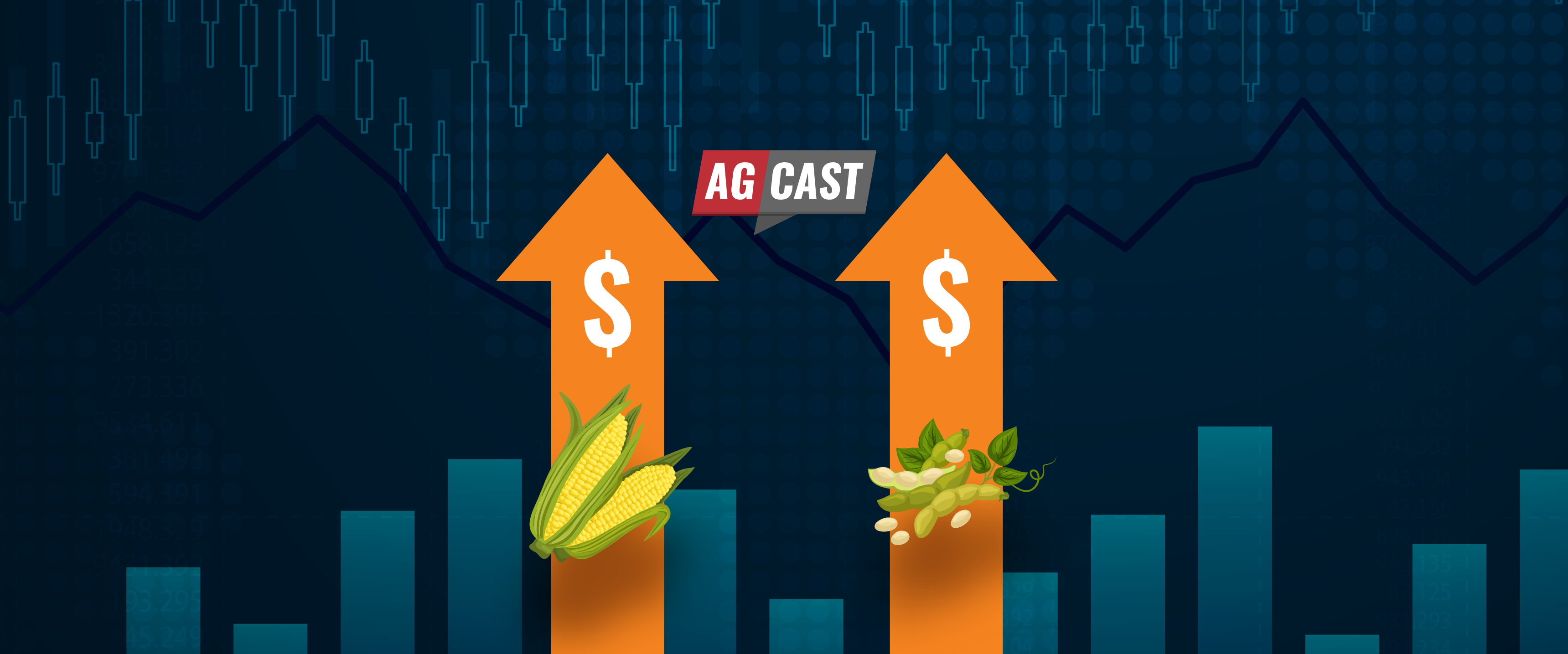 5 Tips for Marketers to Capitalize on Bullish Grain Market Prices
