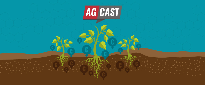 Carbon Farming: Marketing Challenges and Communicating Value