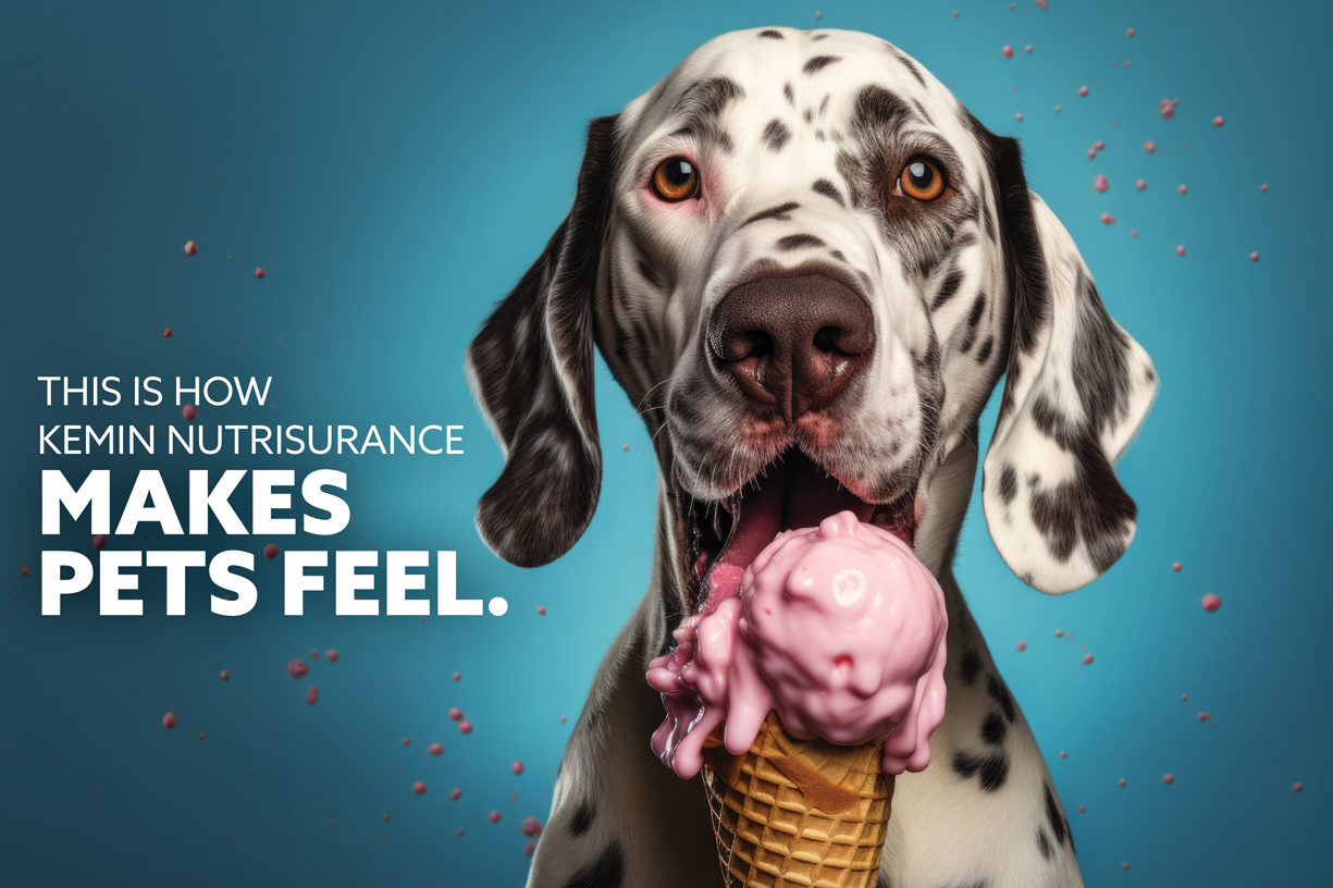 Kemin Nutrisurance Image