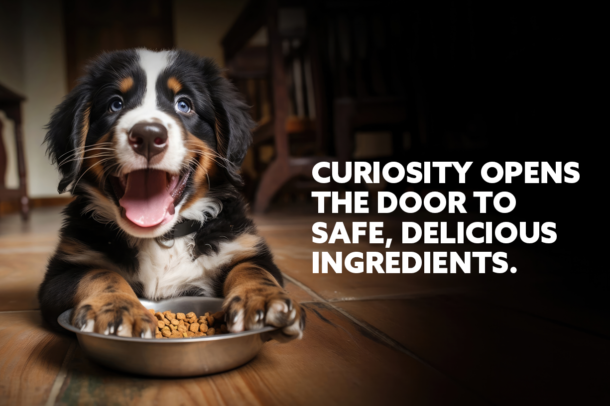 Kemin Nutrisurance Image